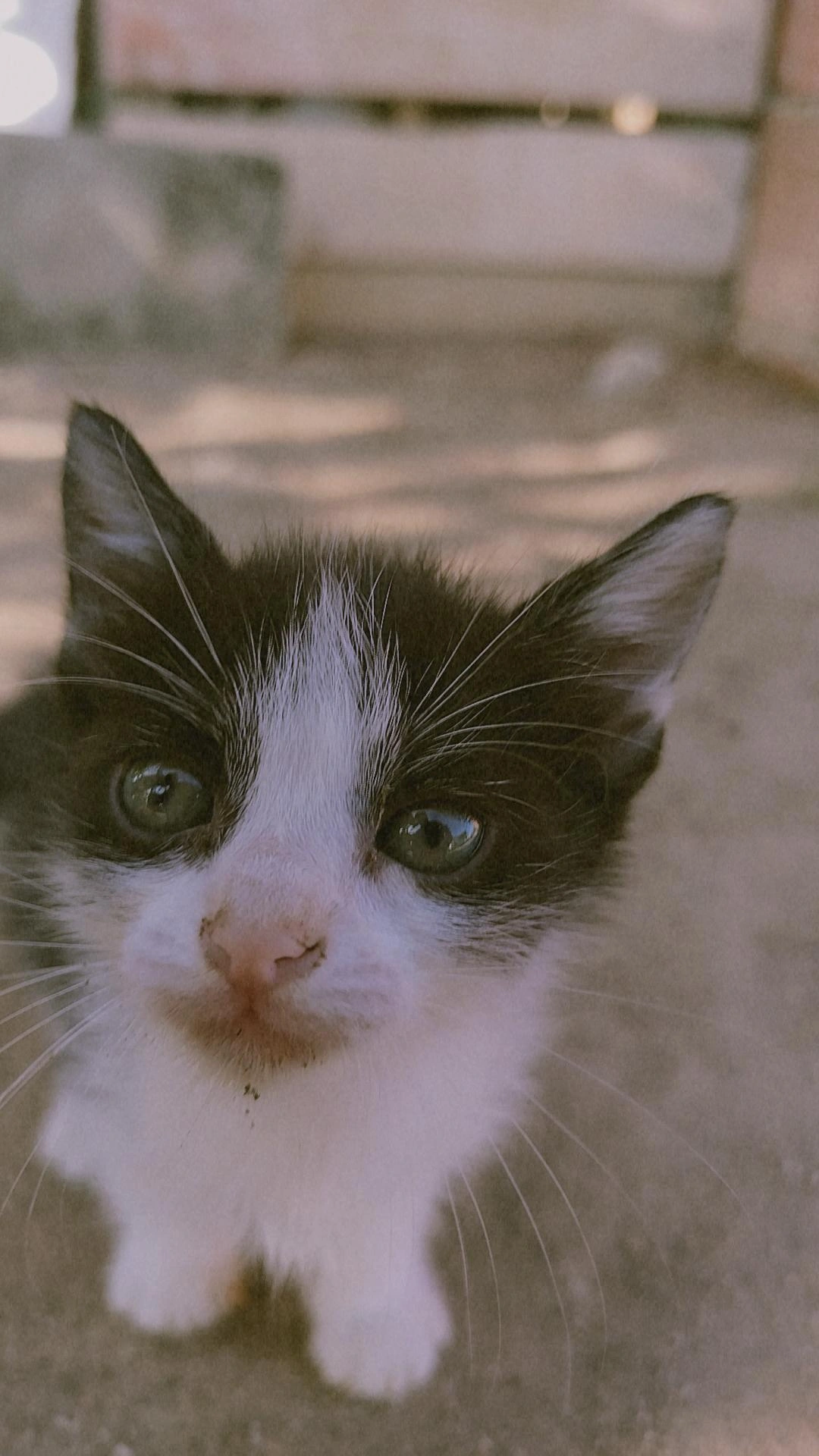 encarnaçoes de Cthulhu